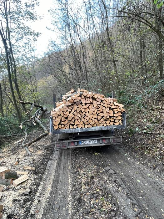 Lemn de foc Fag spart! Tot județul Hunedoara!!