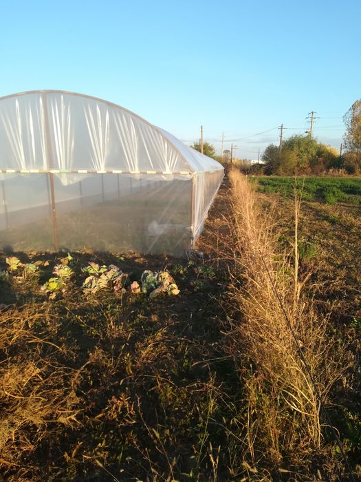 Solar de închiriat sau de vanzare