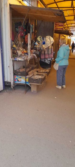 Продам действующий бизнес