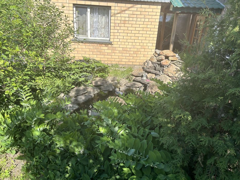 Сдам уютные домики в Боровом