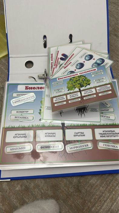 Книжка развивашка