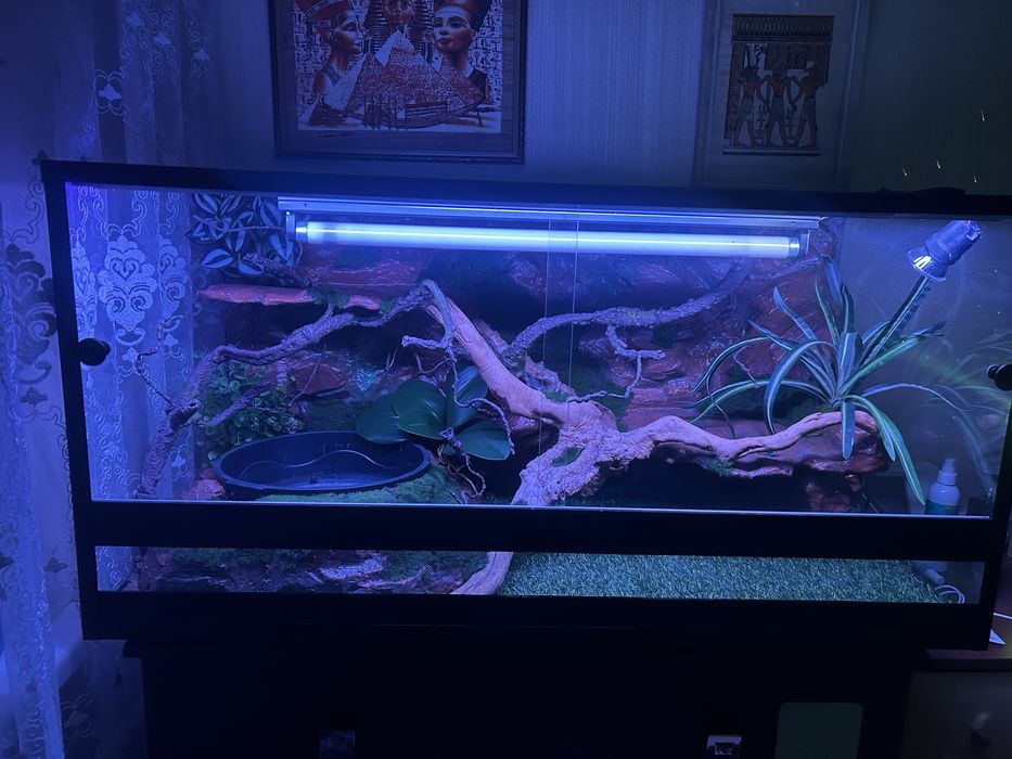 Изготовление террариумов