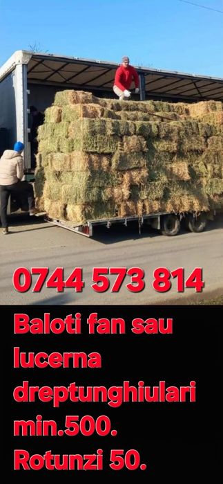 Baloti fan drept.min.500.sau Lucerna.Rotunzi min.40.Tramsport inclus>R