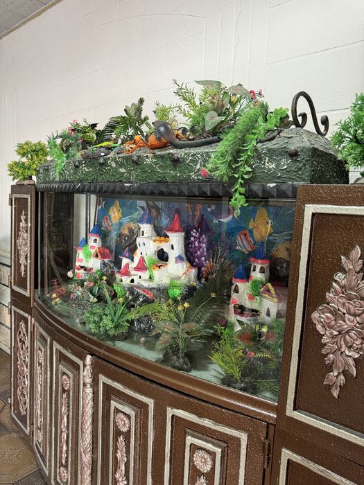 Аквариум новый срочно