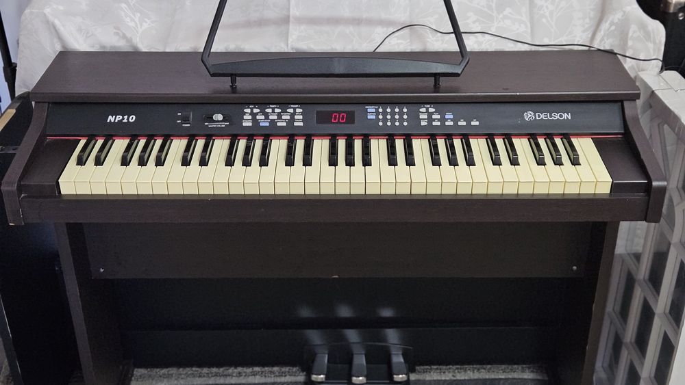Vand Pian cu aranjor Delson NP10