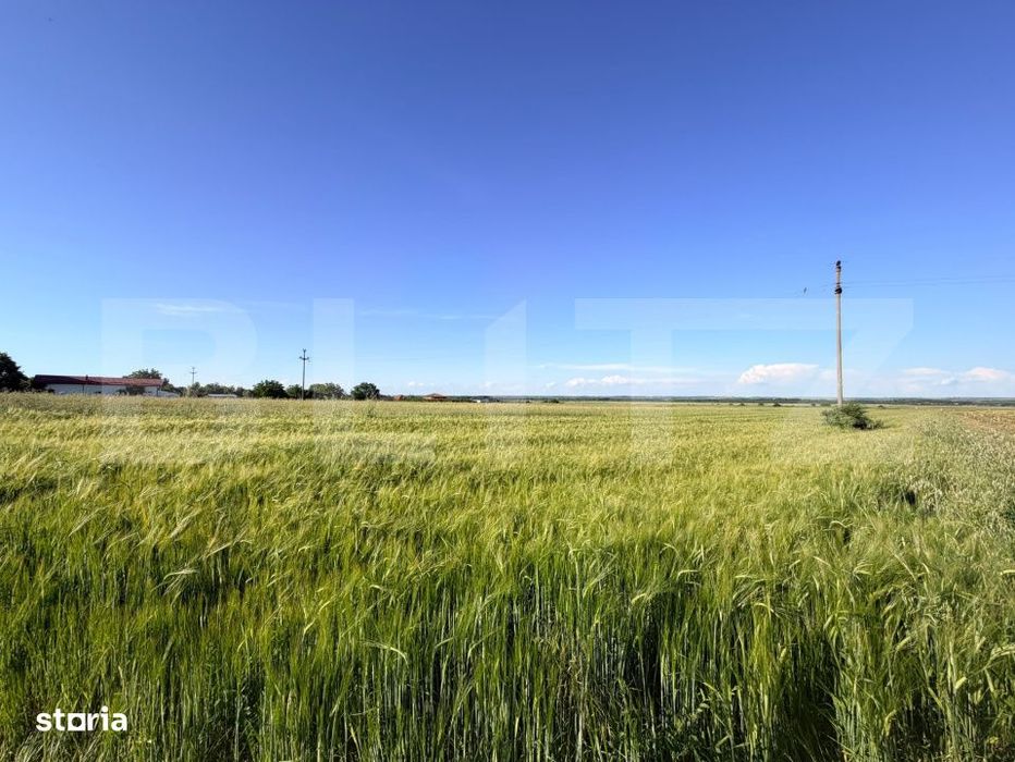 Teren partial intravilan de vanzare – 9.550 mp, Comuna Podari, Sat G