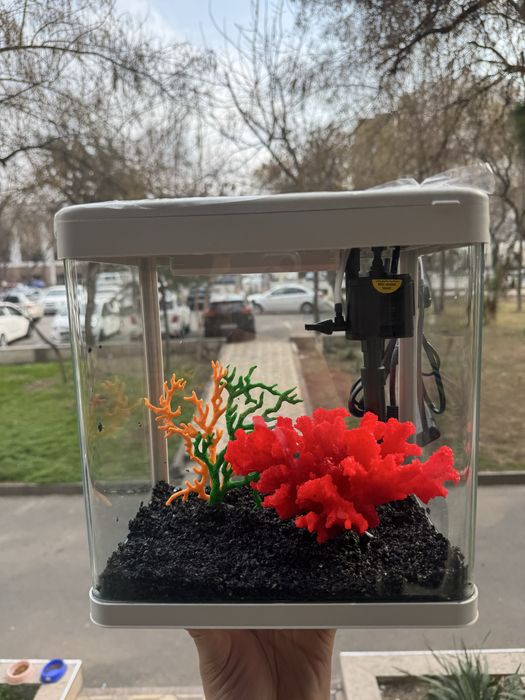 Akvarium xitoy mini new
