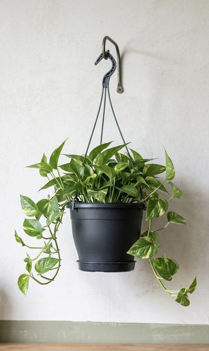 Горшок подвесной