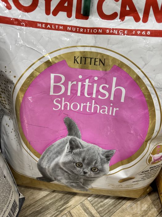 Royal Canin сухой корм