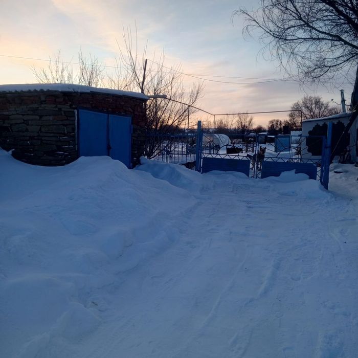 Продам дом в посёлке Петропавловка