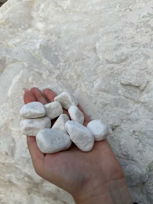 Крошка Галька Блужник