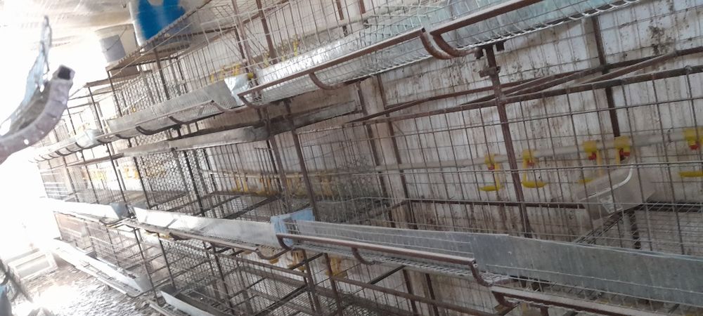 Продам клетки для птицы,питомника и тд