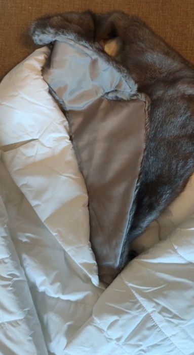 Құдағайға екі сыйлық