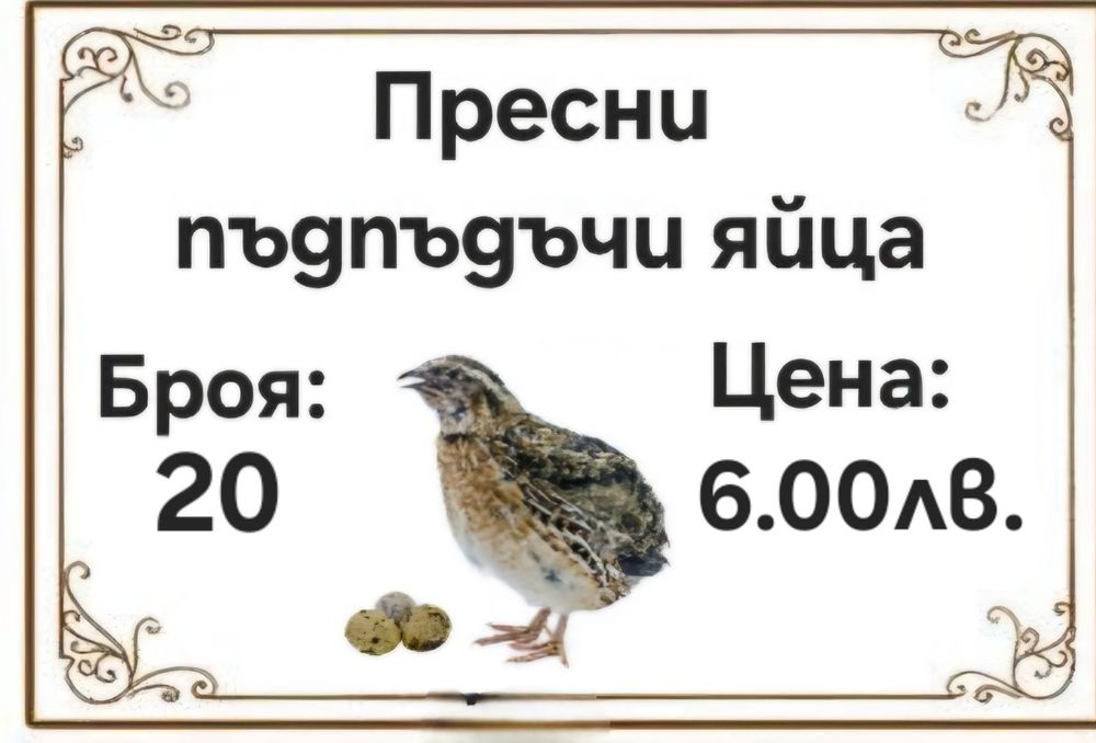 Продавам пресни пъдпъдъчи яйца