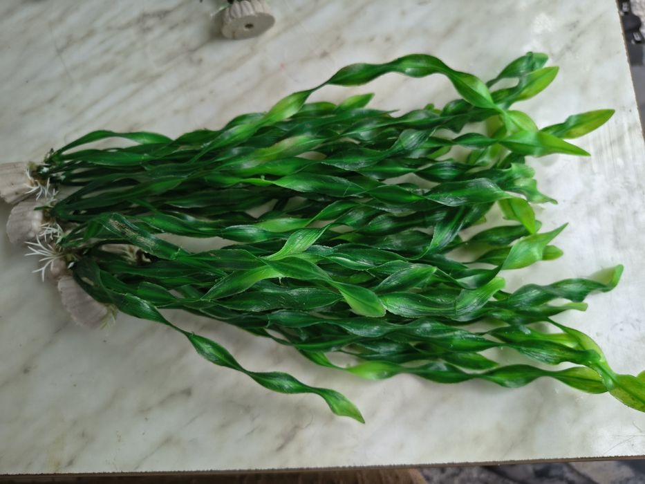 Изкуствени водорасли и камъни