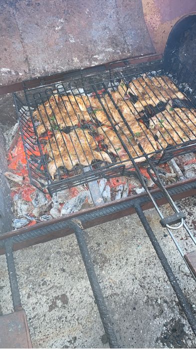 Шашлык из перепелов