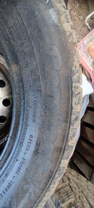 покрышки.     шины