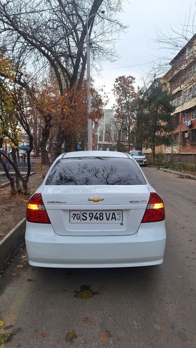 Barcha malumot telda