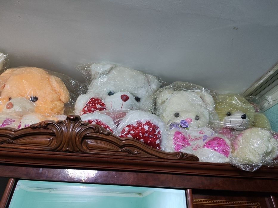 Yumshoq oʻyinchoqlar sotiladi  sher xam bor