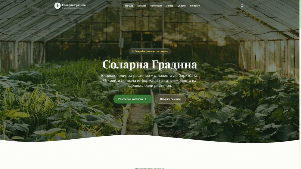 Модерен сайт за Вашия бизнес от 50 евро | готов до 3 дни