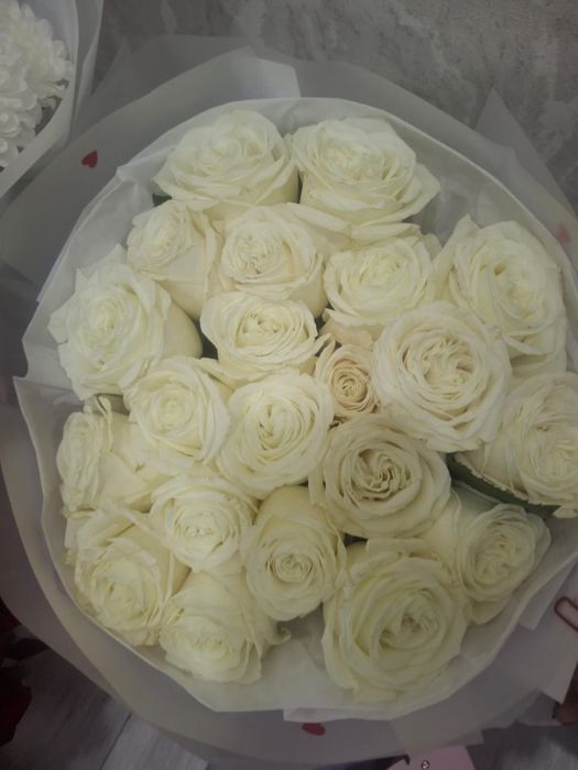 Продам цветы.