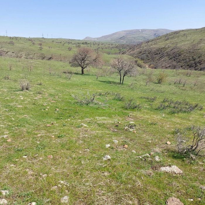 Земельный участок в Тюлькубасском районе