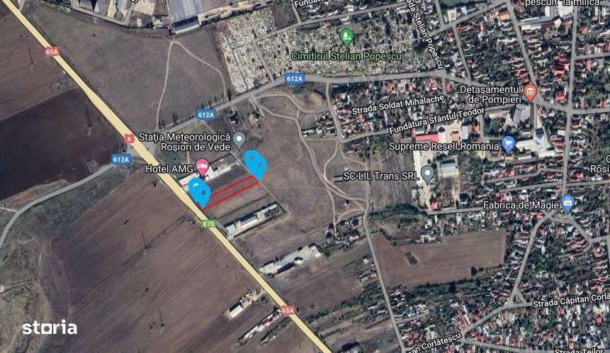 Teren Rosiorii de Vede