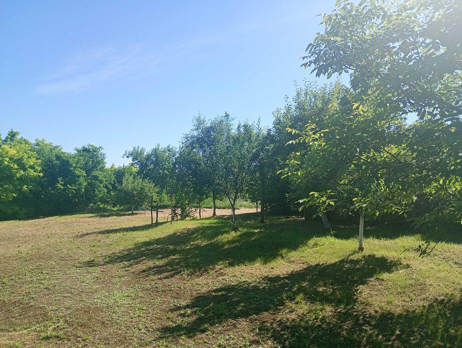 Teren intravilan