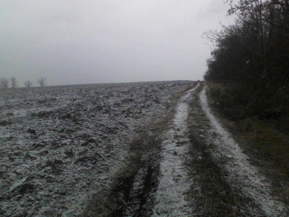 3200 mp Teren langa padure Romsilva, Raducaneni