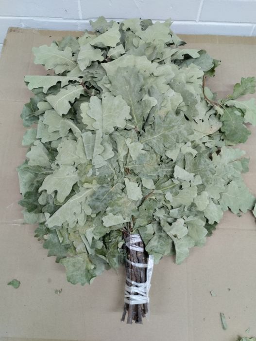 Продам дубовые веники.