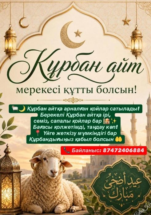 Құрбан айтқа семіз ірі қойлар сатылады