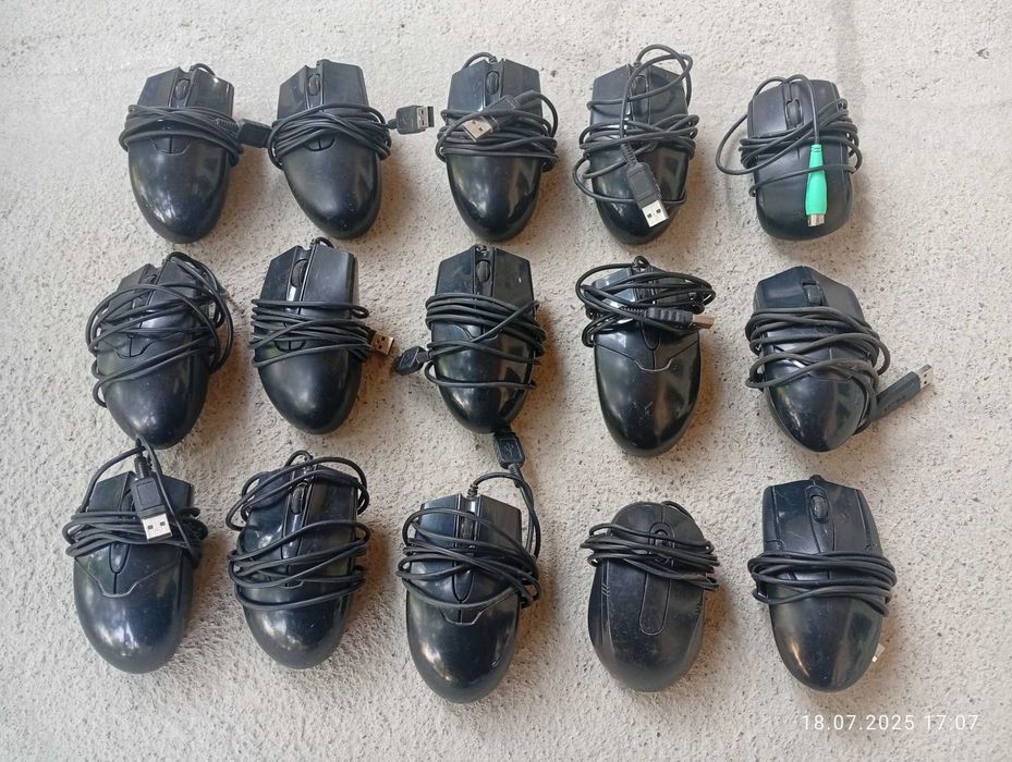 Mishka. Kompyuter sichqonchasi