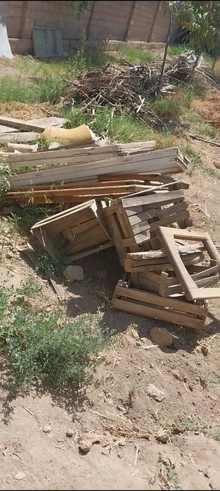 Утинлар.  Дрова.