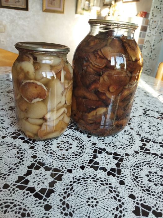 Продам грибы маринованные.