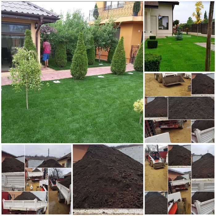 Pamant de gazon. Gradina florii pomii mranita pământ vegetal