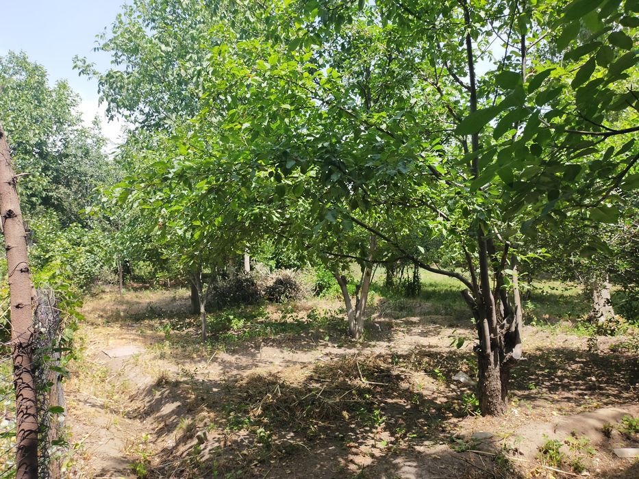 Продается дом в селе Т.Рыскулова, пер. Космонавтов 4/1