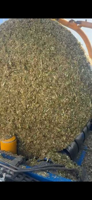 Vând baloți de siloz porumb