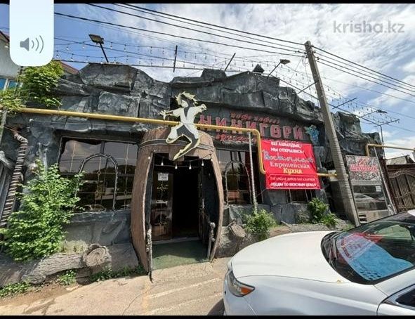 Сдается кафе в аренду 350кв летник нету