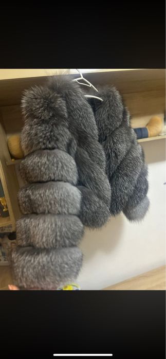 Blani Naturale mai multe marimi de Vulpe