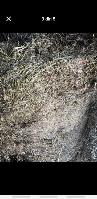 Vand baloti de lucerna infoliati