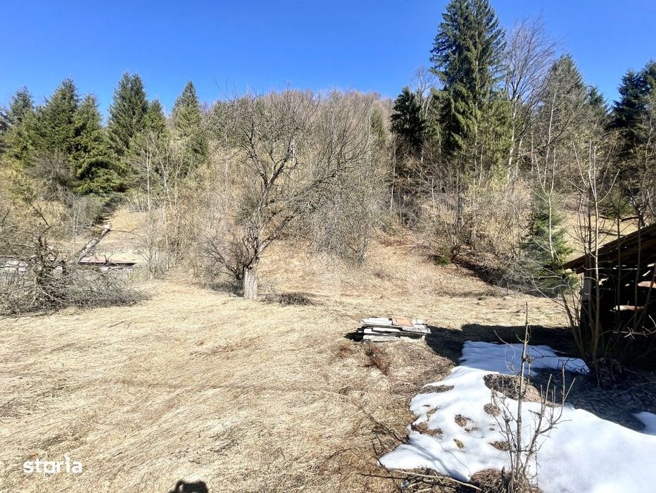 Casa de vacanta sau locuinta in Apuseni | 3300 mp teren | Avram Iancu