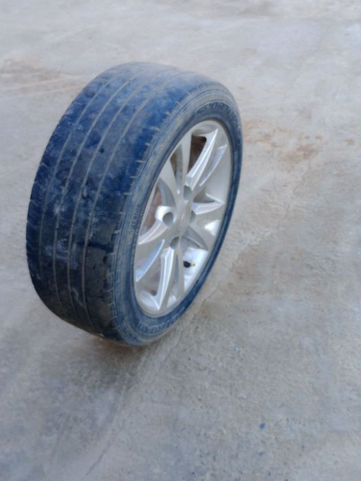 Kaptiva disk gentra uchun