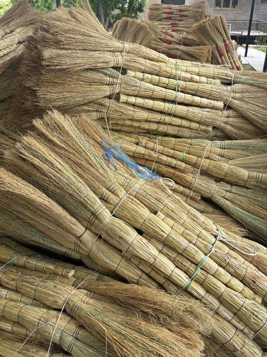 Веники сыпырғы сорго