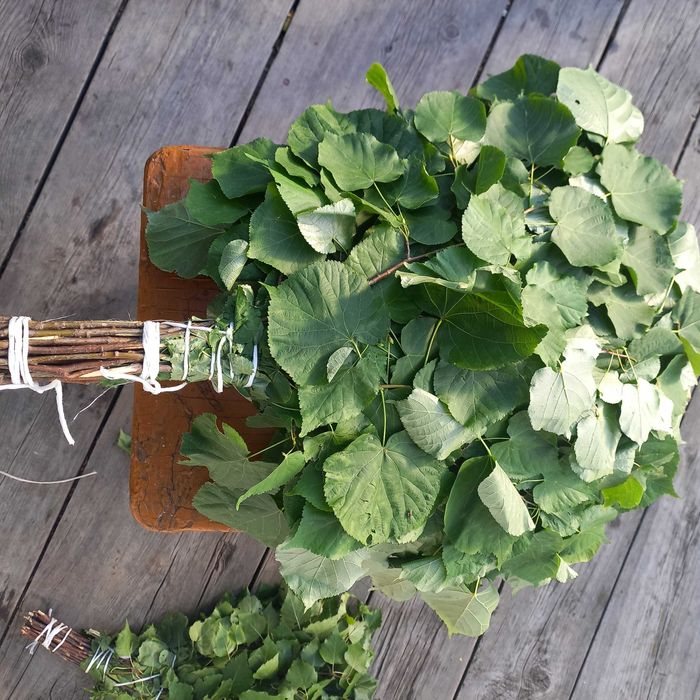 Веники для бани из липы