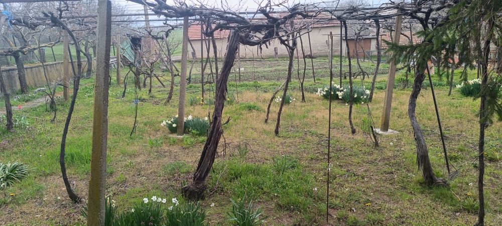 Селски имот къща!