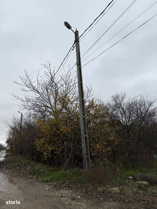 Vanzare teren intravilan 5014mp Afumati - Strada Sperantei