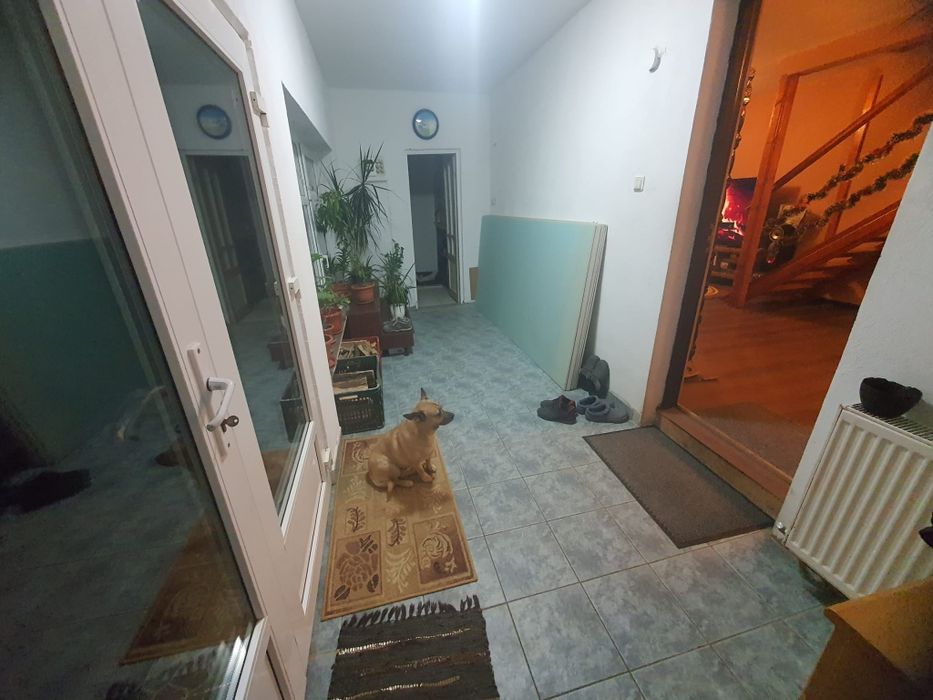 Vând casa în Minis