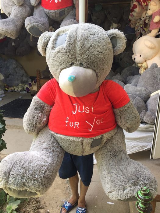 Teddy+Teddi Bonusga Orginal 100%