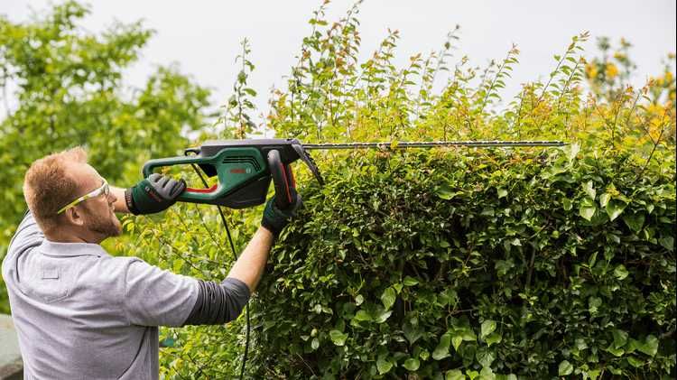 Bosch original elektr buta kesgich AdvancedHedgeCut 70 кусторез