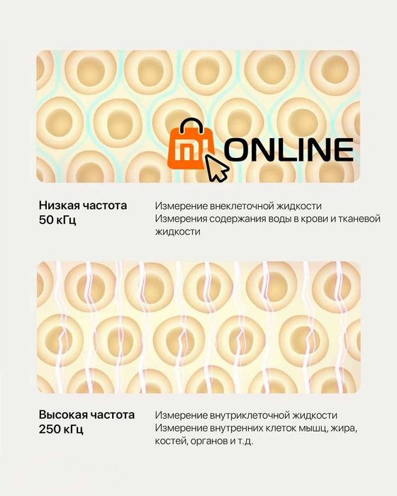 Новинка! Умные весы Xiaomi Mi Body Fat Smart Scale S400 25 показателей